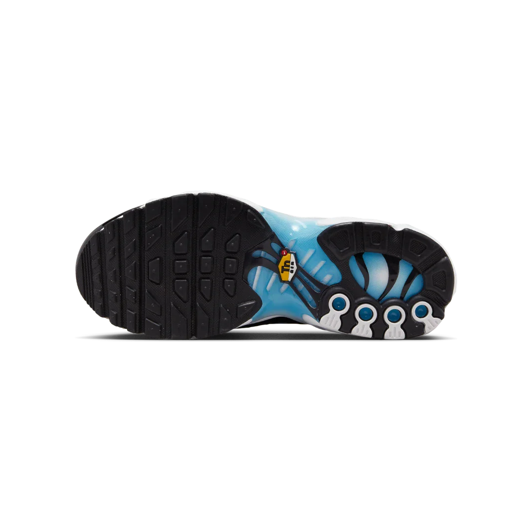 Nike Air Max Plus Ice