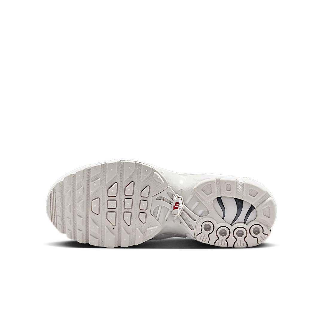 Nike Air Max Plus Light Iron Ore Gym Red Smoke Grey Metallic Silver