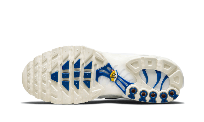 Nike Air Max Plus Multi-Swoosh White