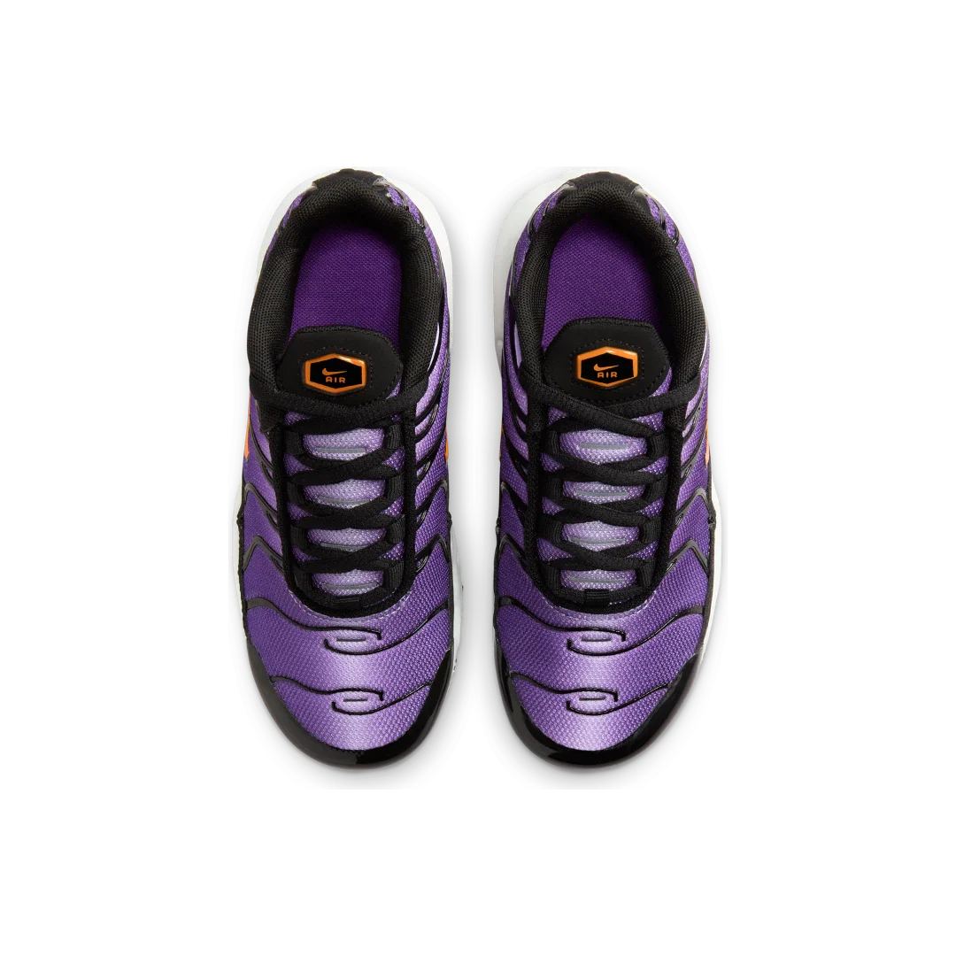 Nike Air Max Plus OG Voltage Purple (2024) (PS)
