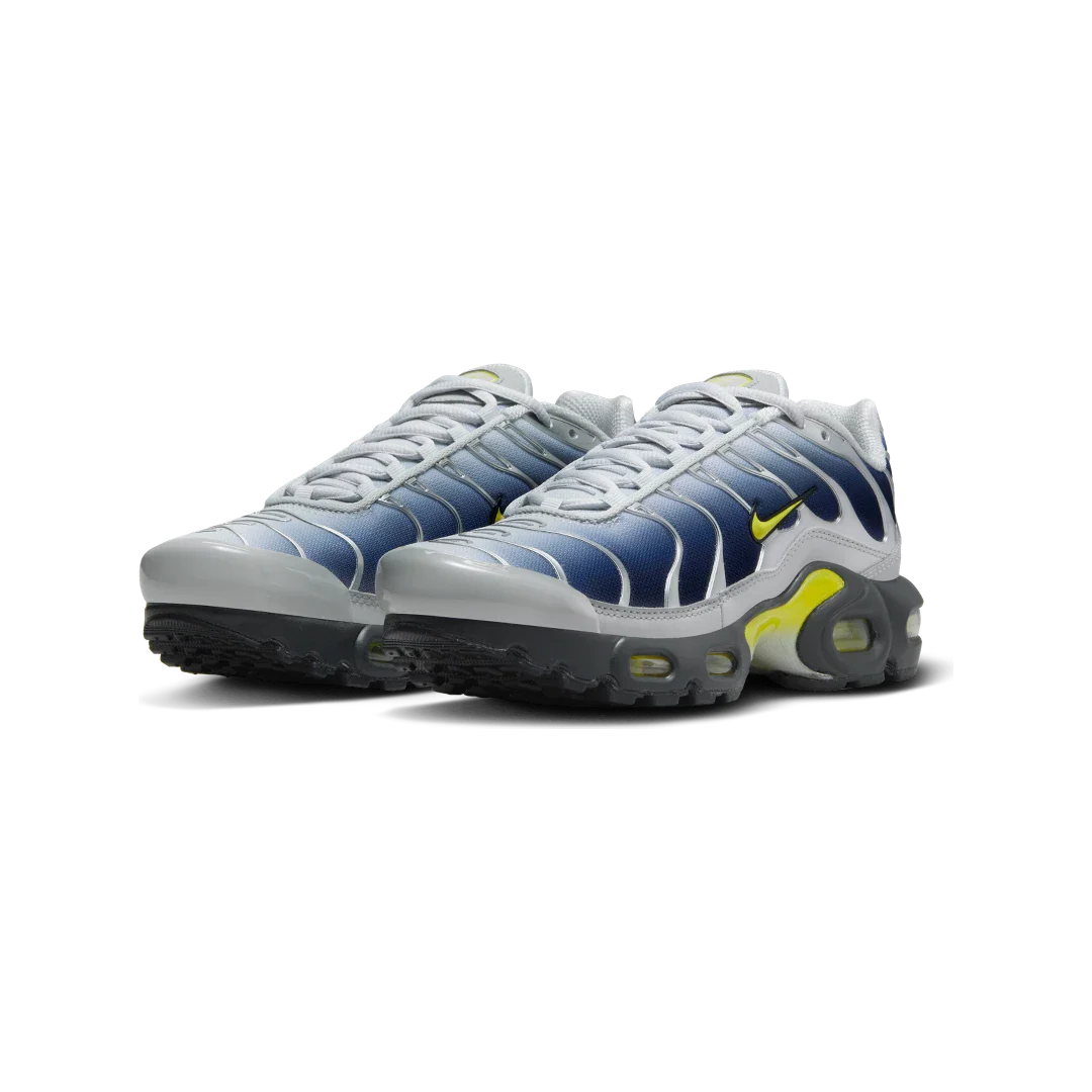 Nike Air Max Plus Obsidian Silver