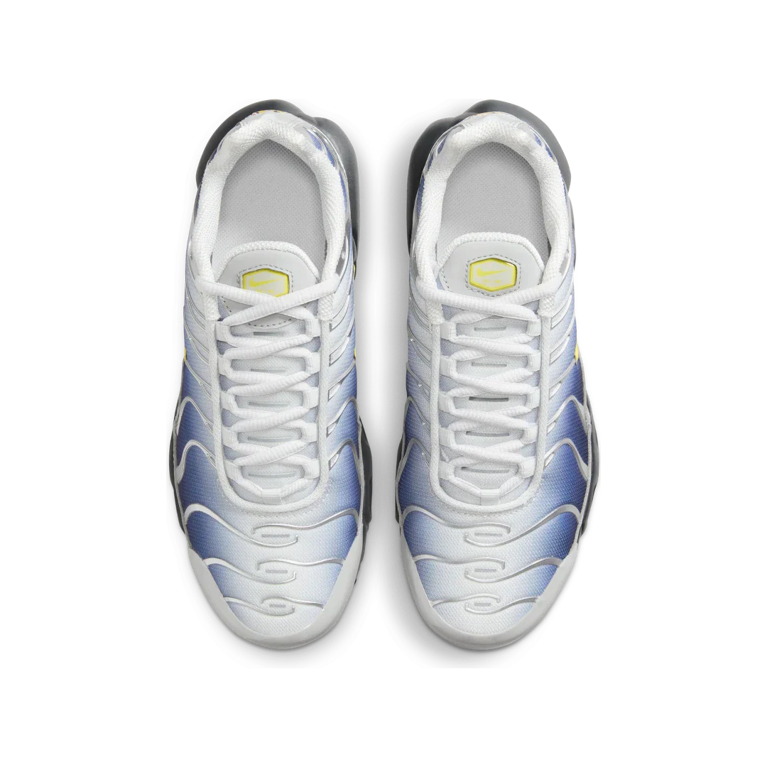 Nike Air Max Plus Obsidian Silver