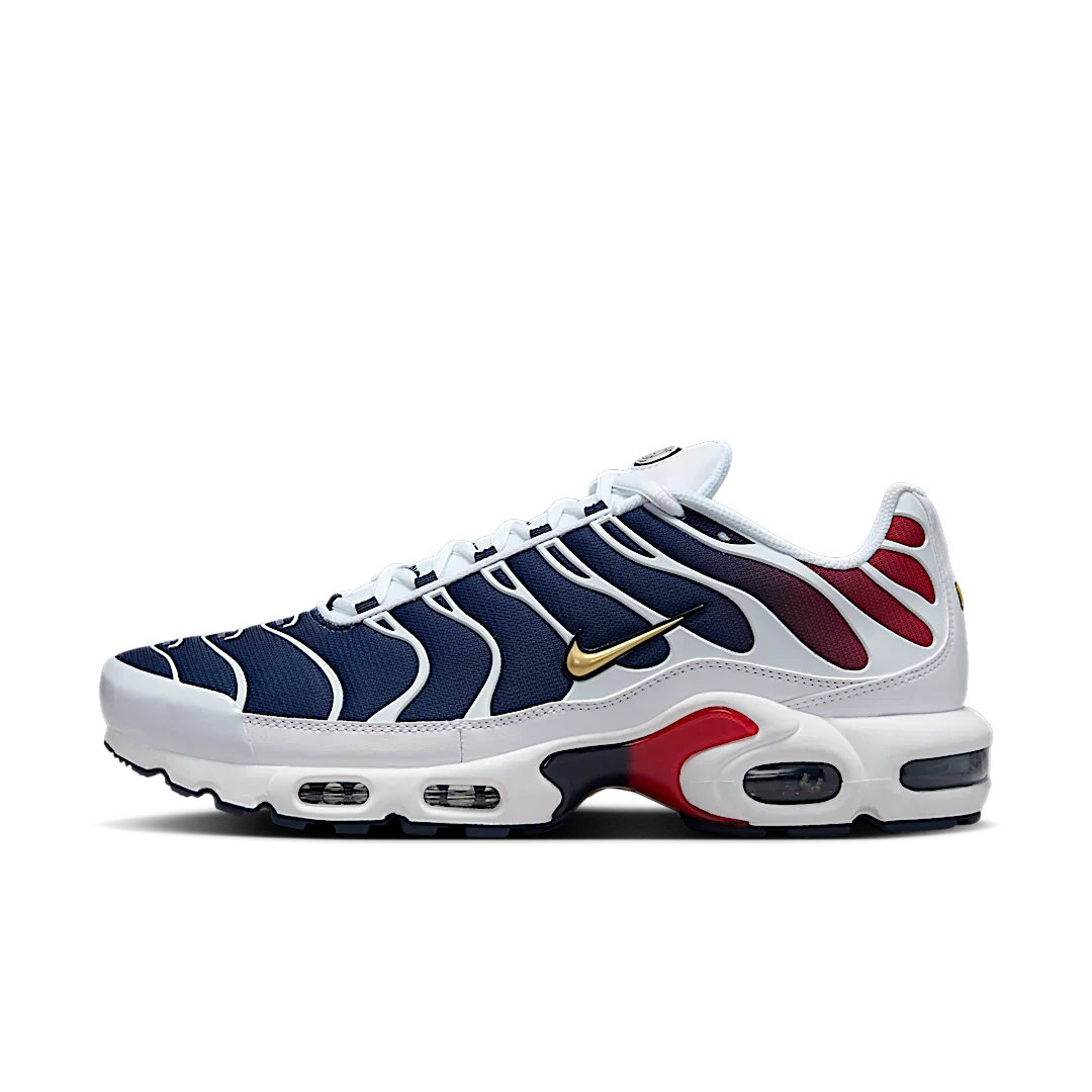 Nike Air Max Plus PSG