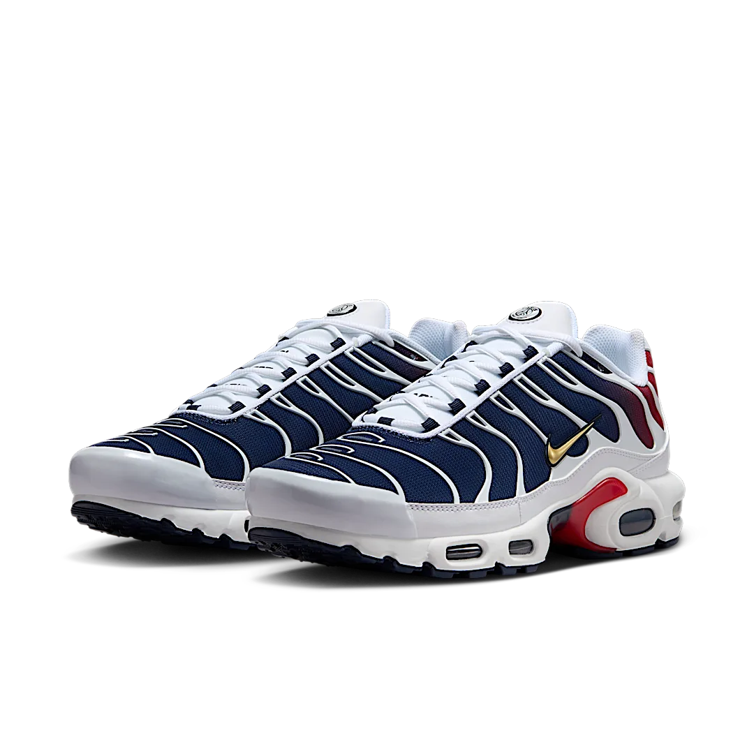 Nike Air Max Plus PSG
