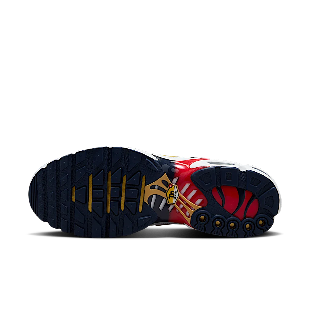 Nike Air Max Plus PSG