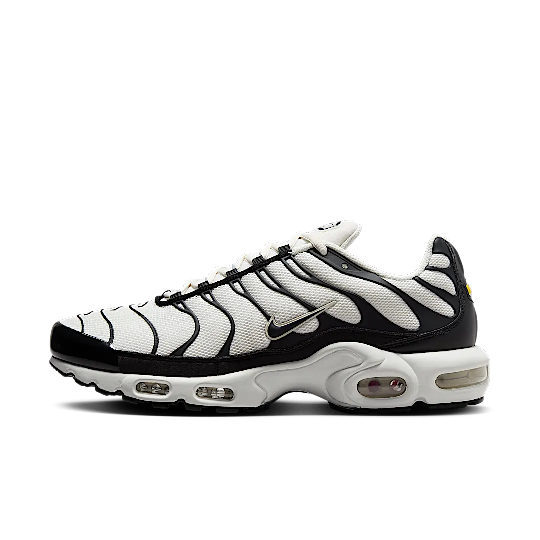 Nike Air Max Plus Panda