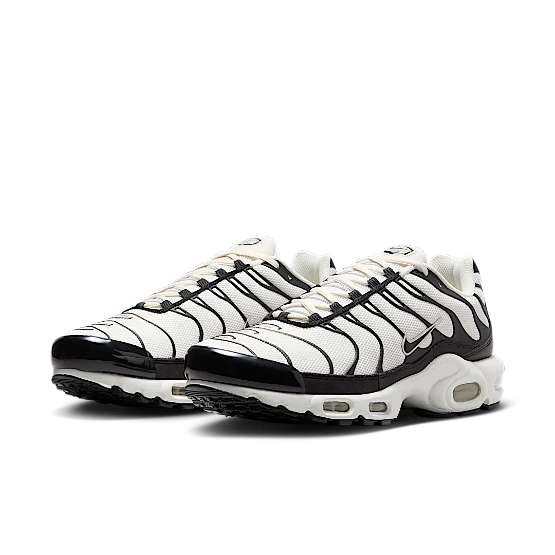 Nike Air Max Plus Panda