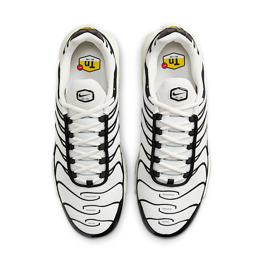 Nike Air Max Plus Panda