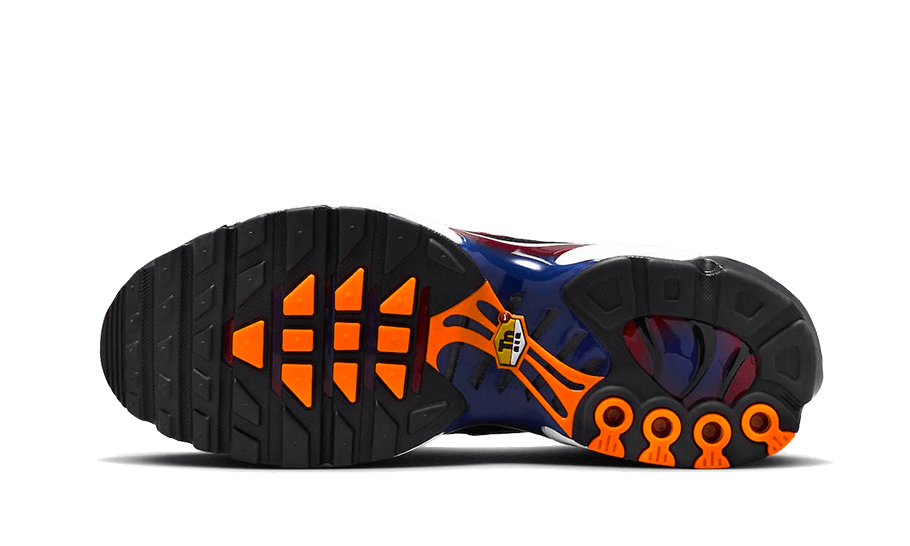 Nike Air Max Plus Patta FC Barcelona Culers del Món