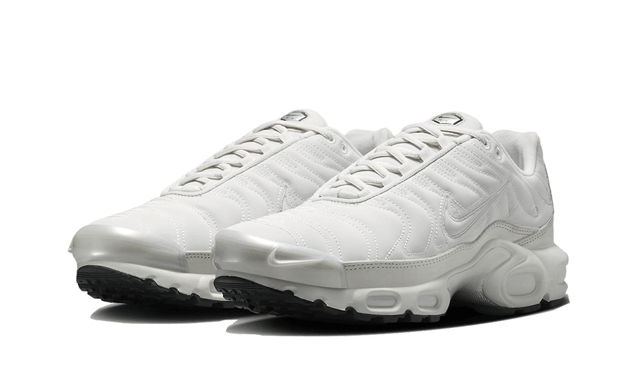 Nike Air Max Plus Platinum Tint