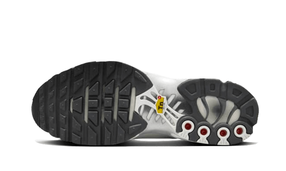 Nike Air Max Plus Platinum Tint
