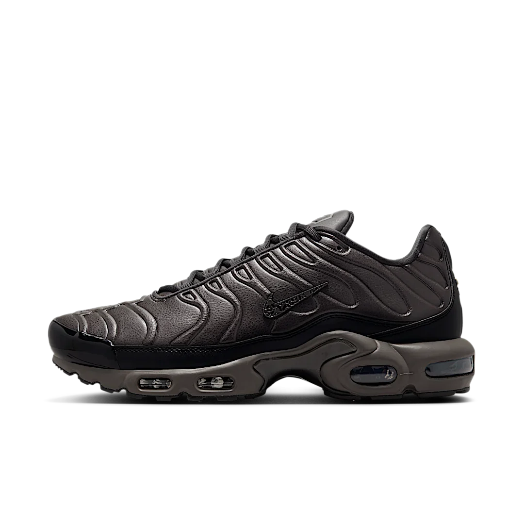 Nike Air Max Plus Premium Paris