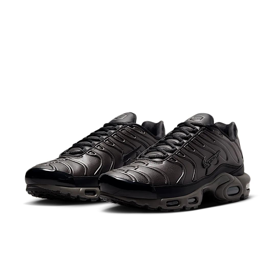 Nike Air Max Plus Premium Paris