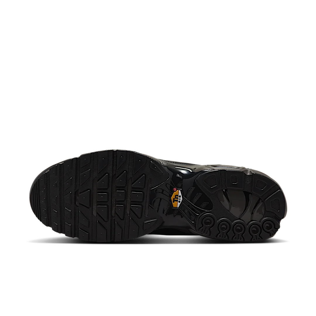 Nike Air Max Plus Premium Paris