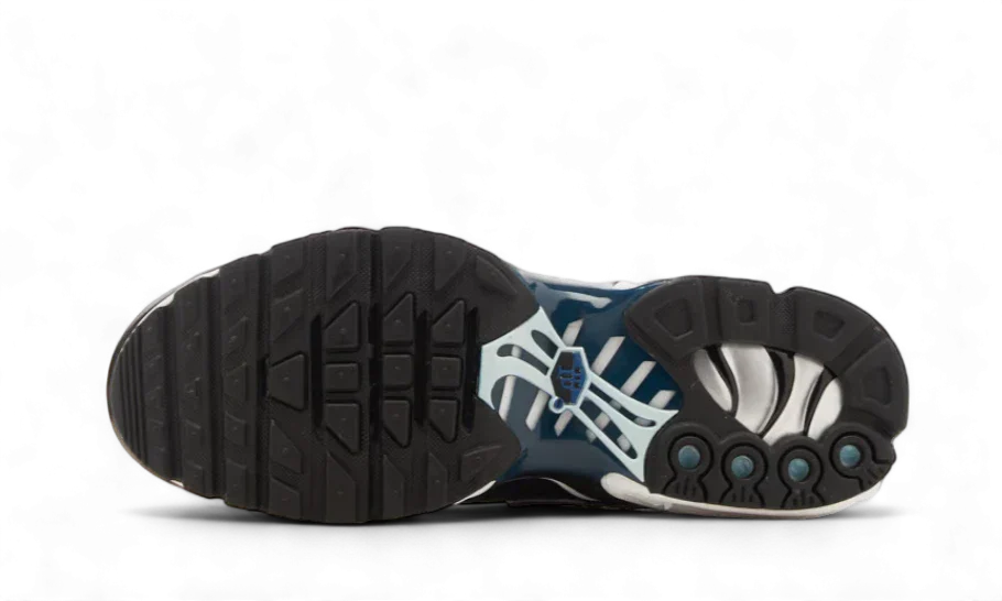 Nike Air Max Plus Pure Platinum Court Blue
