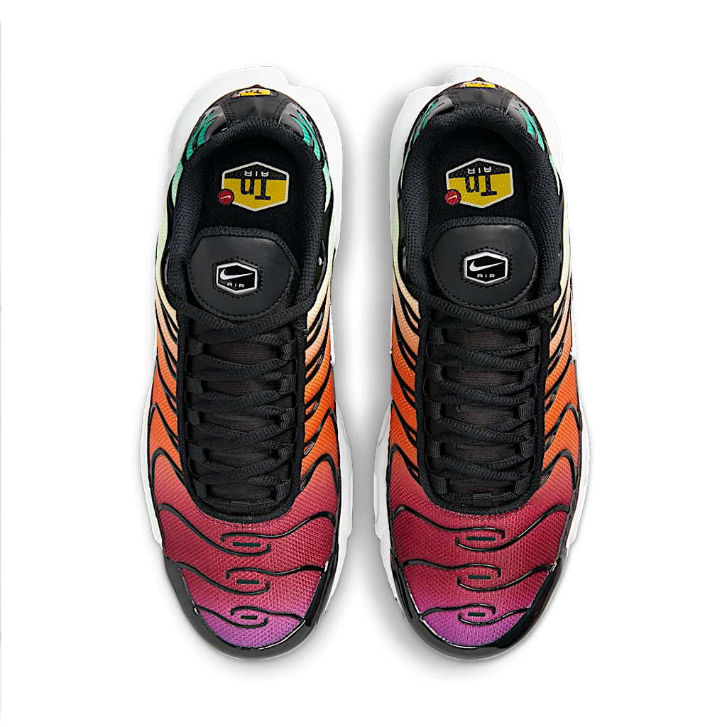 Nike Air Max Plus Rainbow