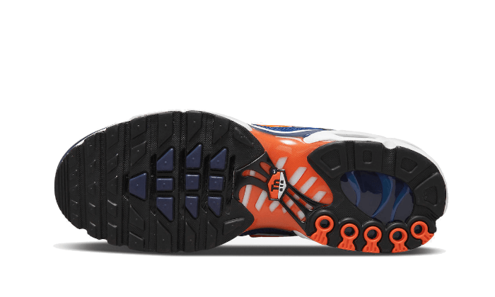Nike Air Max Plus SE Air Max Running Club