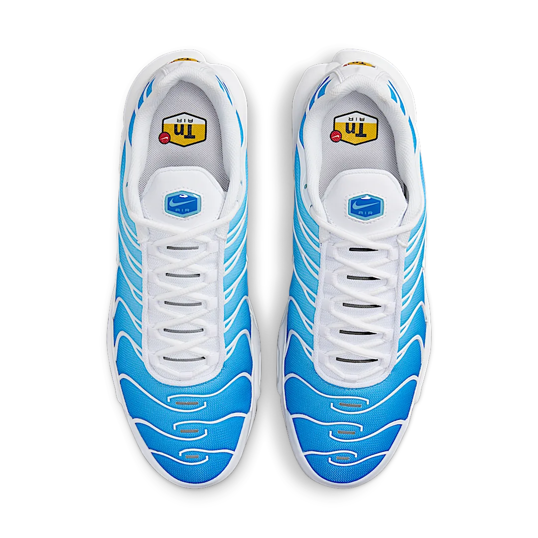 Nike Air Max Plus Sky Blue
