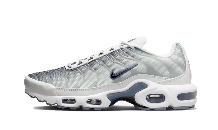 Nike Air Max Plus Smoke Grey Ashen Slate