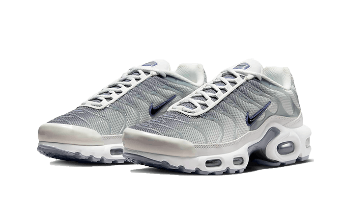 Nike Air Max Plus Smoke Grey Ashen Slate