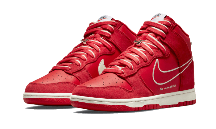 Nike Dunk High First Use Red