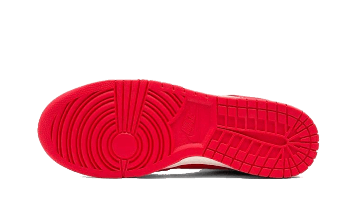 Nike Dunk High First Use Red