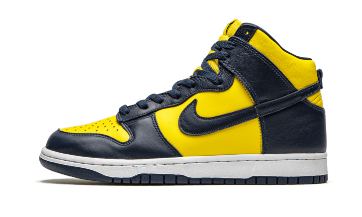 Nike Dunk High Michigan (2020)