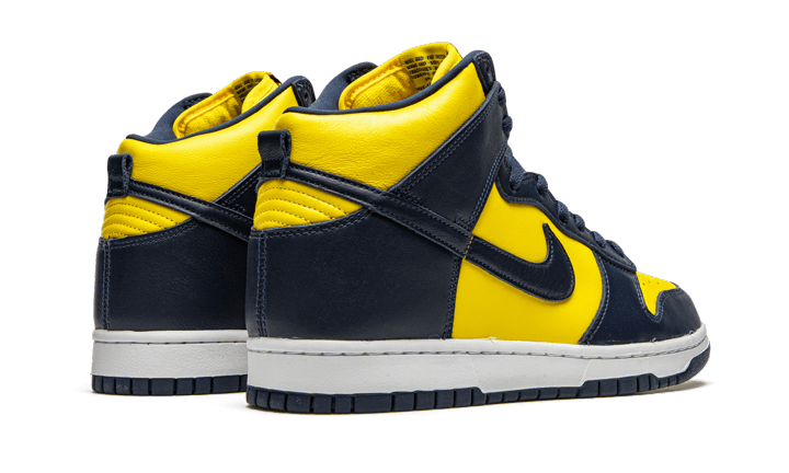 Nike Dunk High Michigan (2020)