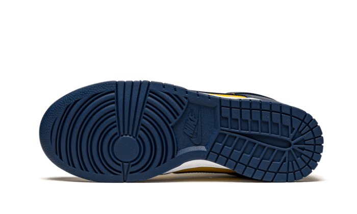 Nike Dunk Low Michigan (2021)