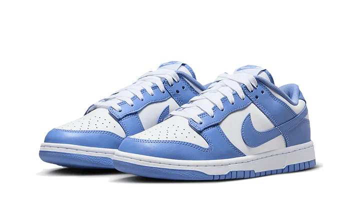 Nike Dunk Low Polar Blue