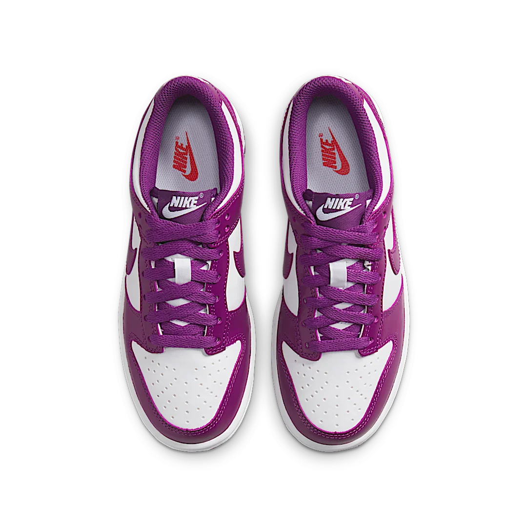 Nike Dunk Low Viotech