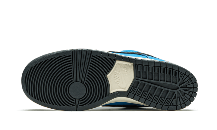 Nike SB Dunk Low Instant Skateboards