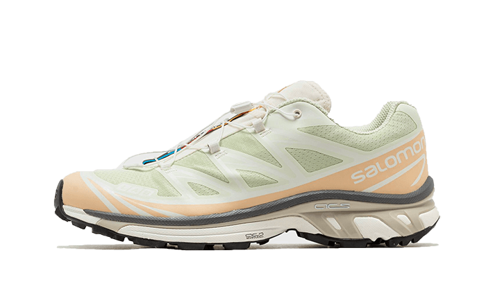 Salomon XT-6 Aloe Wash Feather Grey