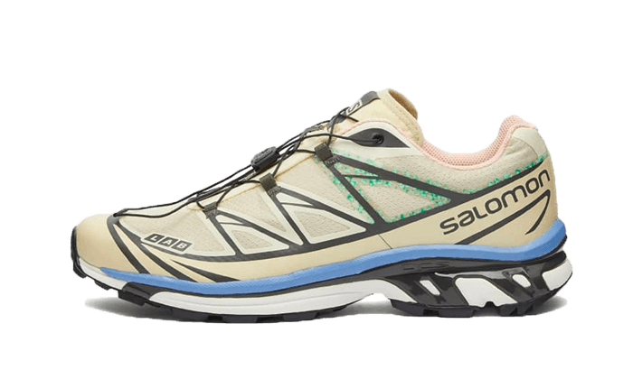 Salomon XT-6 Moth Vanilla