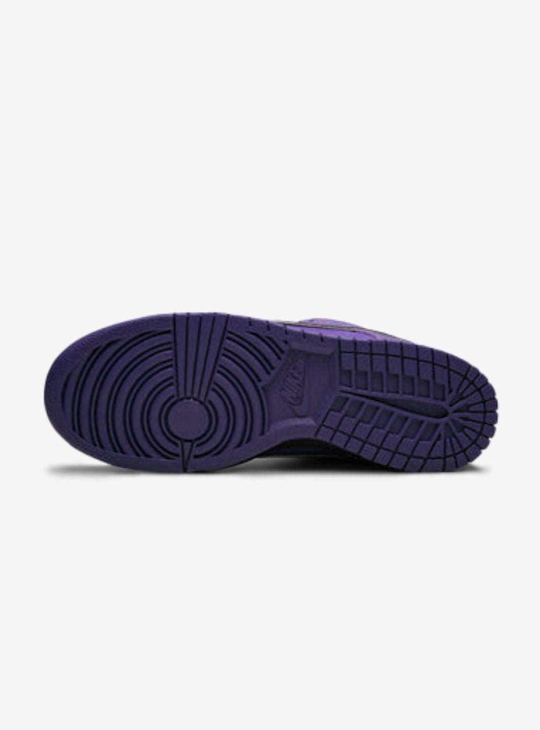 Nike SB Dunk Low Concepts Purple Lobster (Special Box)